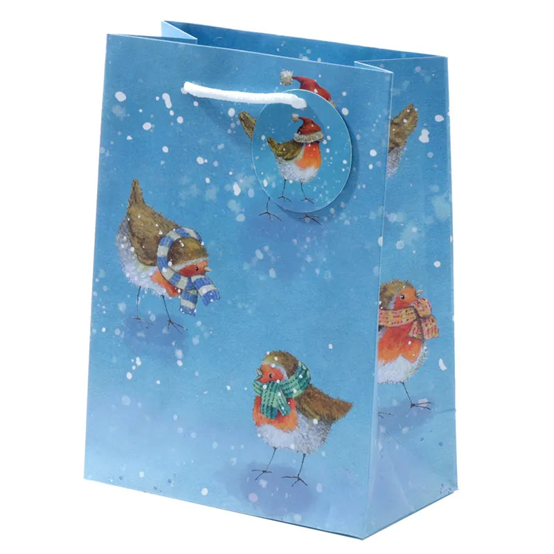 Jan Pashley Robin Christmas Medium Gift Bag XGBAG79B