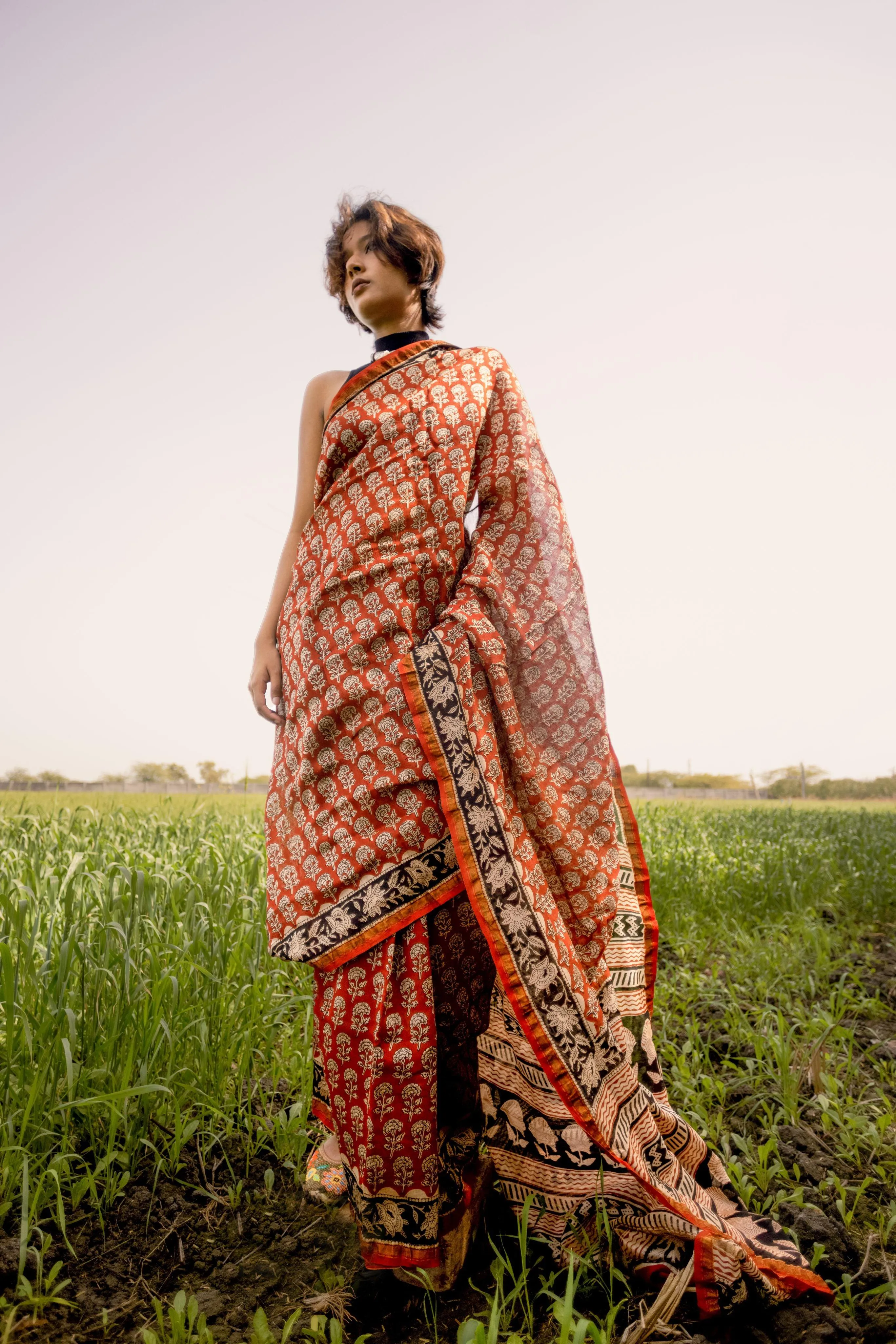 Roheda Gulab Syahi Begar Chanderi Saree