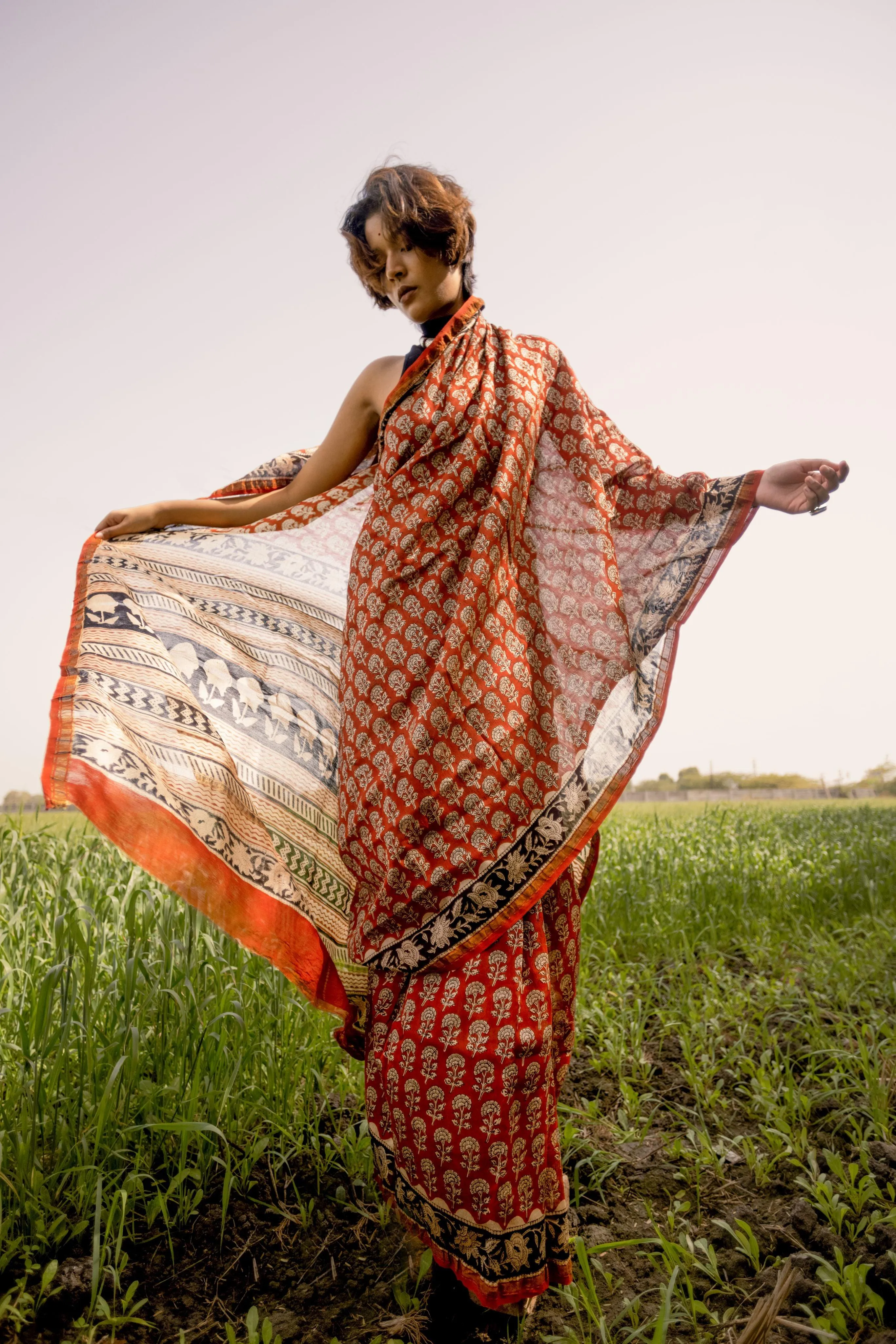 Roheda Gulab Syahi Begar Chanderi Saree