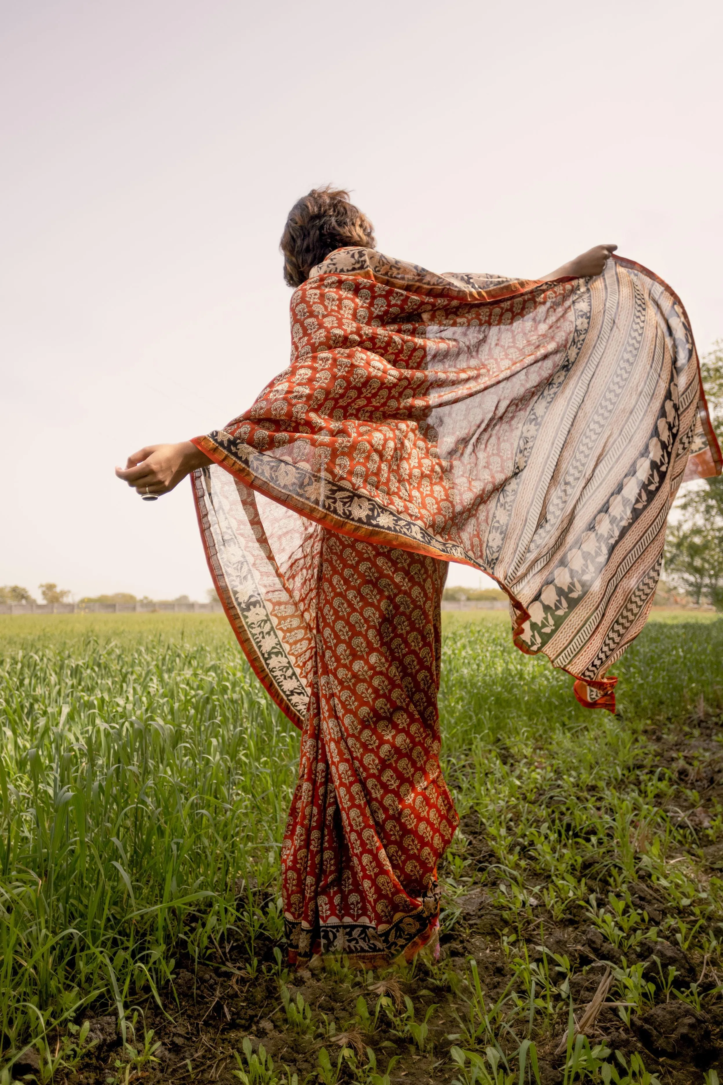 Roheda Gulab Syahi Begar Chanderi Saree