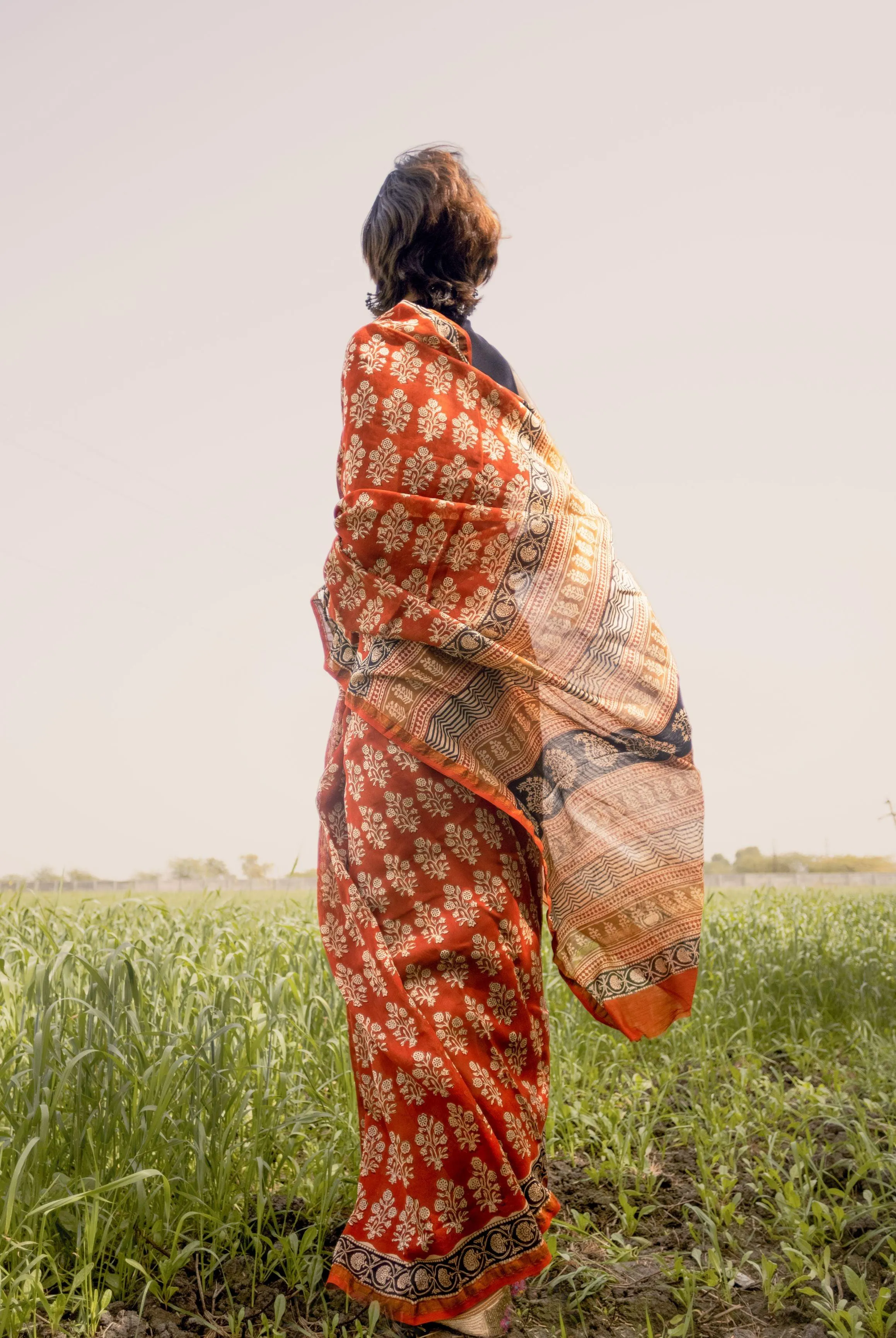 Roheda Mughal Syahi Begar Chanderi Saree