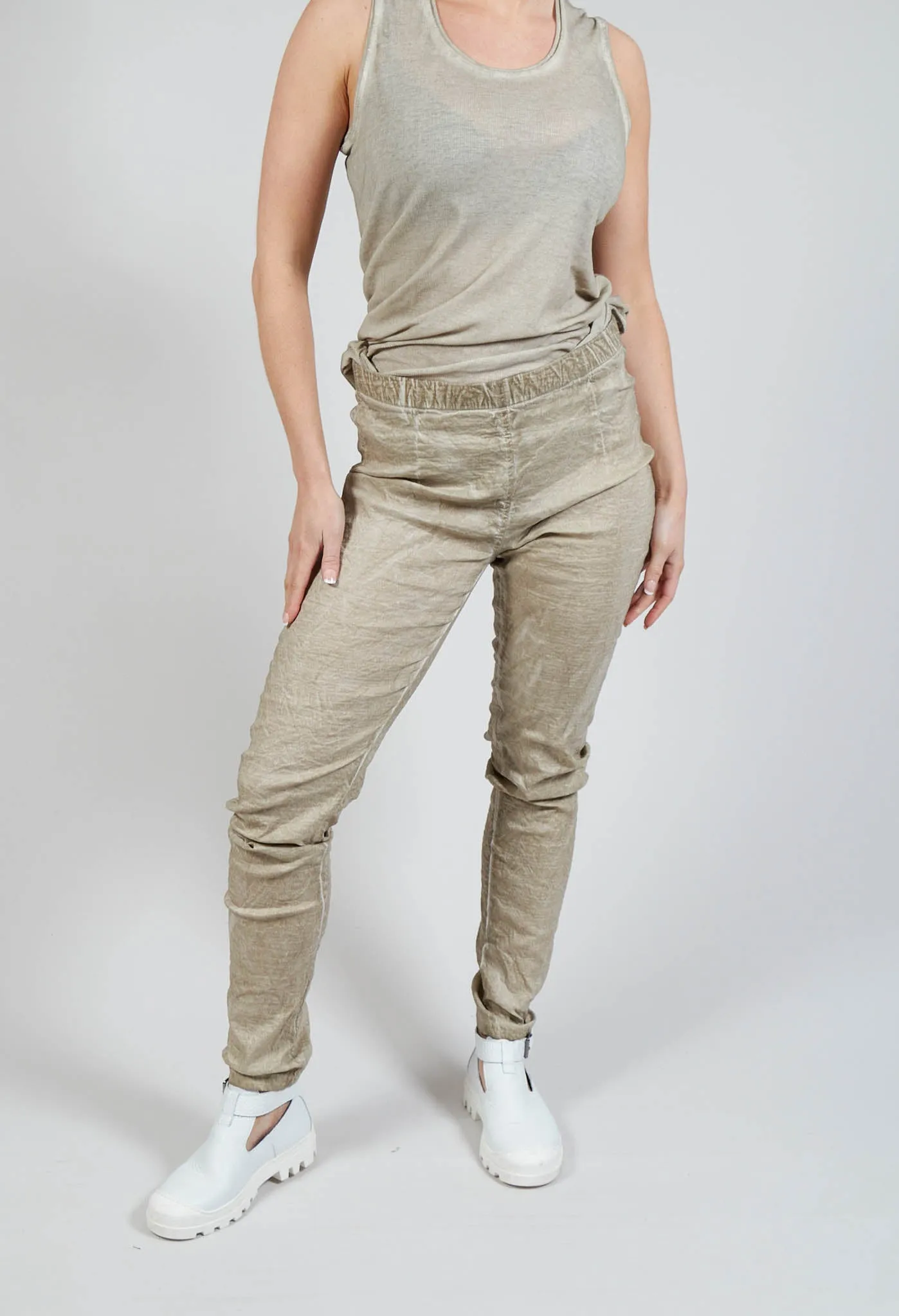 Slim Fit Pants in Straw Cloud