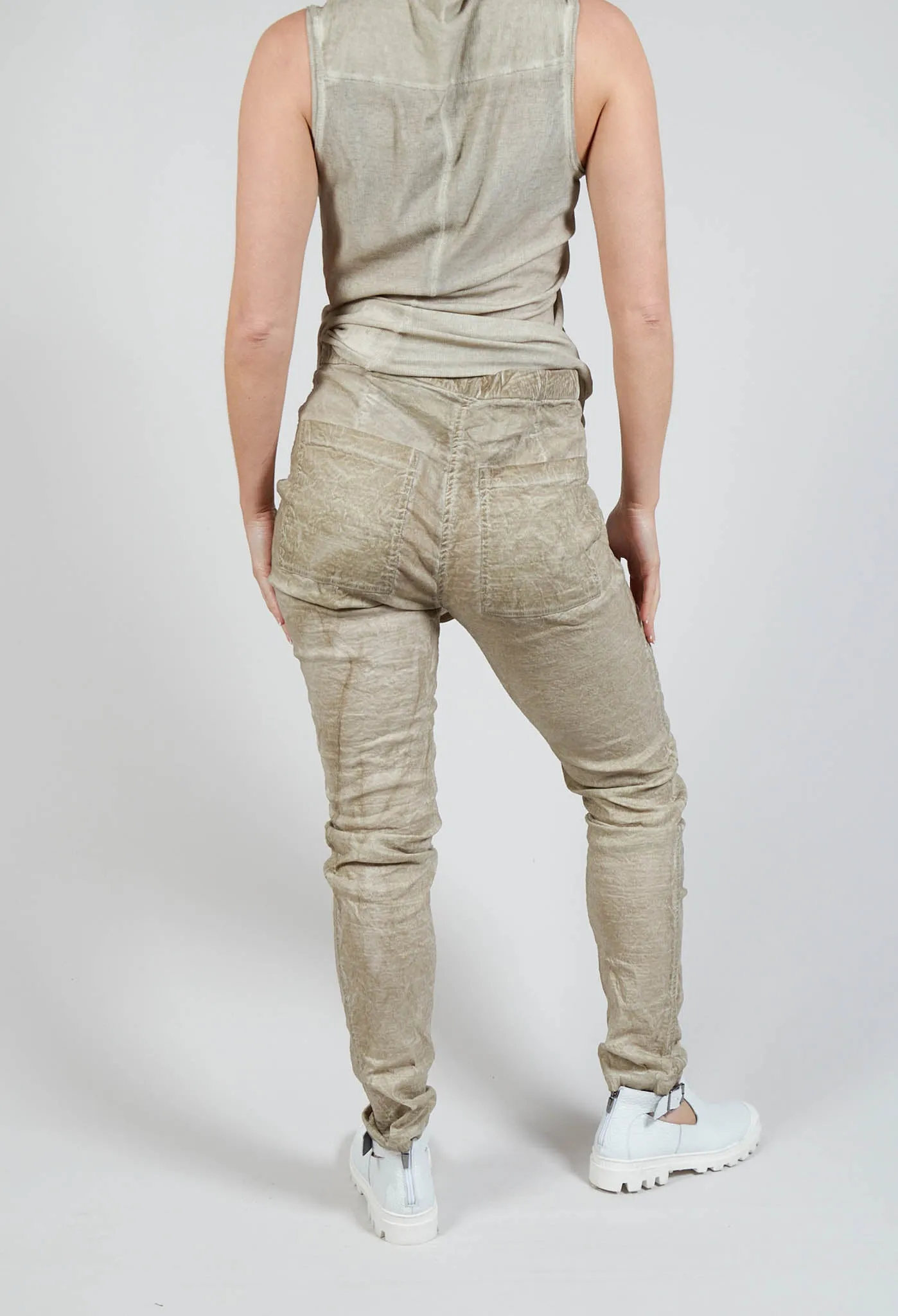 Slim Fit Pants in Straw Cloud