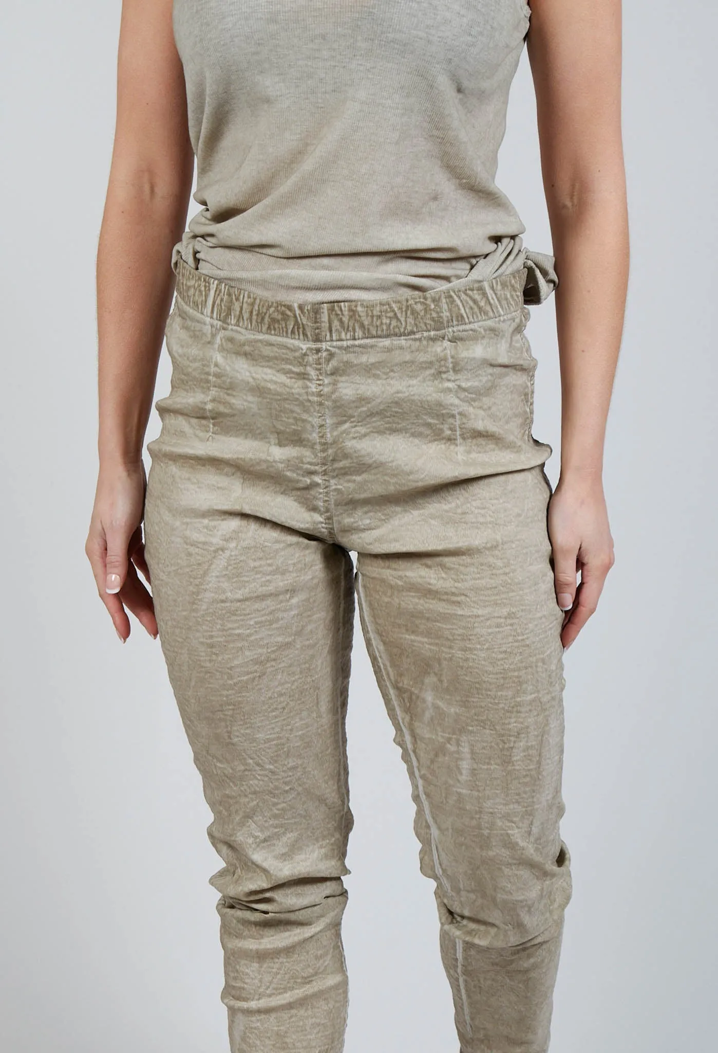 Slim Fit Pants in Straw Cloud